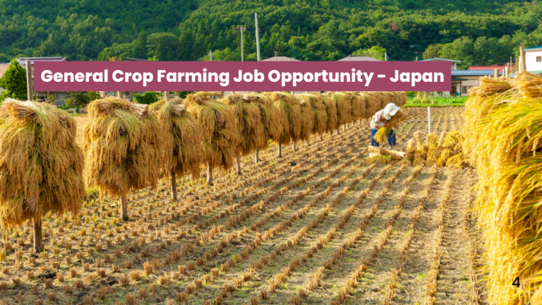 General crop farming overseas job with full time employment through licensed recruitment agency. Apply now 2026.