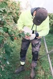 🇦🇺 Fruit Picking Jobs in Australia 2026 – Apply Now